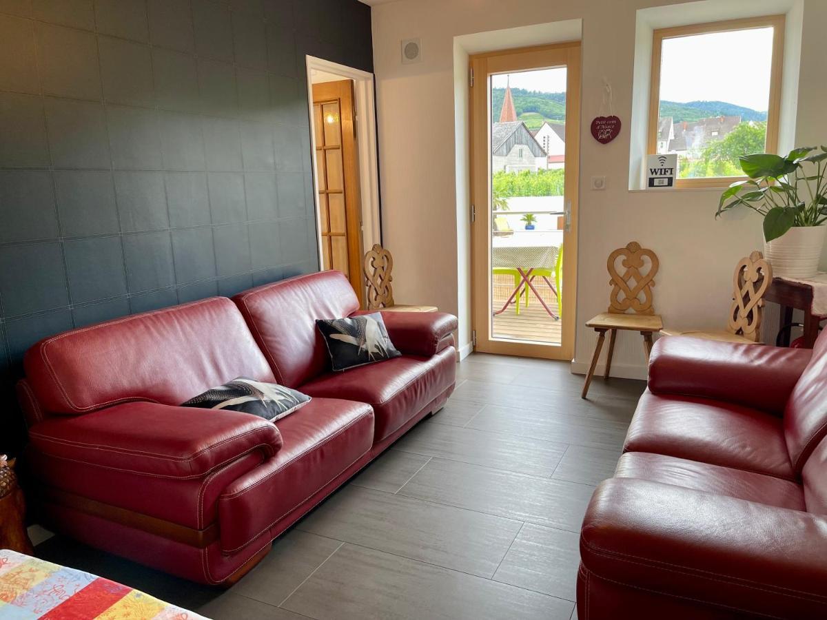 Alsacebnb - Gite 12 Personnes Dans Le Vignoble - Piscine Privee & Spa Ammerschwihr Exterior foto